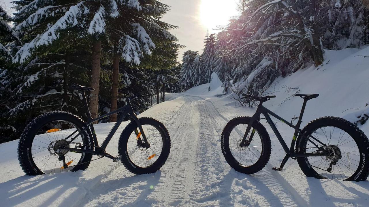 Apartament Gorski Raj Świeradów-Zdrój Exteriör bild